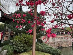 -杭州西湖风景名胜区-钱塘苏小小之墓