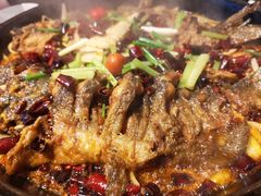 -老板恋上鱼(恒隆广场店)