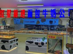 -红星前进面包牛奶公司(君太店)