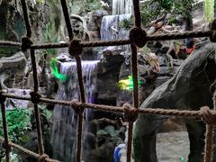 -多彩贵州城极地海洋世界