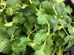 -鼎宏干锅牛肉(富城时代店)