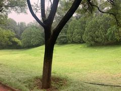 -云岗森林公园