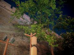 -醉长安(钟楼旗舰店)