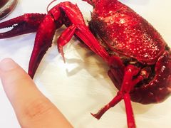 -虾弄弄海派小龙虾·牛羊蝎子火锅