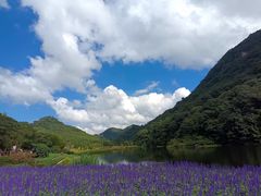 -广州市石门国家森林公园