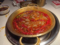 -小龙坎火锅(全球旗舰店)