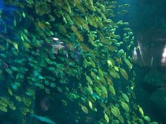 -成都浩海立方海洋公园