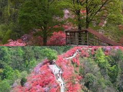 -岳西天峡风景区