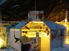 -哈尔滨热雪奇迹