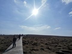 -芦芽山旅游度假区