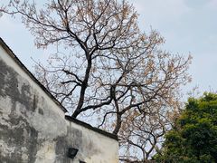-乌镇景区