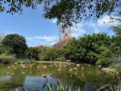 -芽庄珍珠岛游乐园