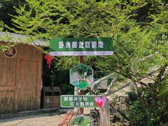 -黄山翡翠谷景区