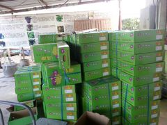 -美家乐农庄·露营·团建(大治路店)