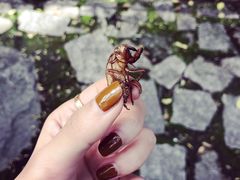 -碓臼峪自然风景区