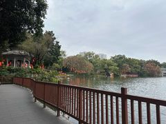 -荔湾湖公园