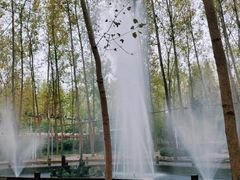 -合肥滨湖国家森林公园