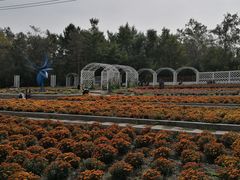 -黑龙江省森林植物园