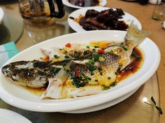 -老张桥新天地羊肉店