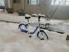-东北大学(南湖校区)
