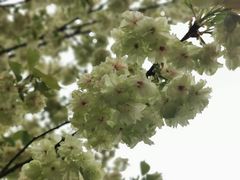 -江南大学(蠡湖校区)