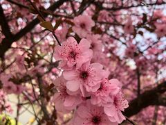 -丰台花园