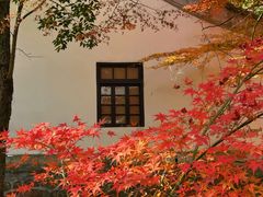 -狼山风景名胜区