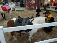 -新华百货CC Park购物广场