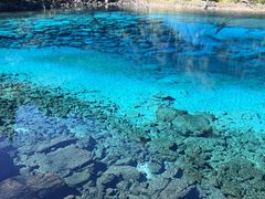 -九寨沟-树正沟