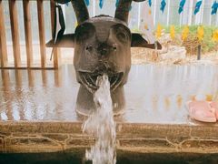 -中家鑫园温泉酒店鑫悦汤泉