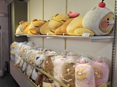 -KAKAO FRIENDS(弘大店)