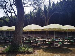 -绿野餐厅(上海动物园店)