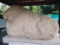 -茂陵博物馆