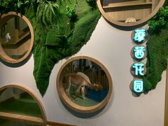 -藦茜花园宠物主题亲子互动体验馆(国顺东路店)