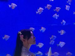 -沈阳海洋探索中心