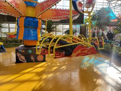 -南宫五洲植物乐园