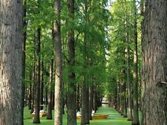 -南京银杏湖乐园