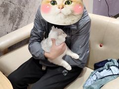 -藏猫猫咖啡主题馆(中央大道店)