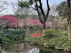 -杭州植物园