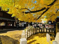 -医王山·飞騨国分寺