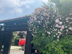 -淹城春秋乐园