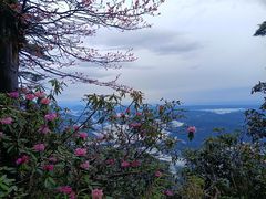 -瓦屋山景区