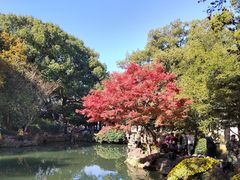 -惠山古镇·寄畅园