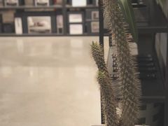 -dotcom coffee古点咖啡(致真大厦店)