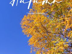 -北京西山国家森林公园