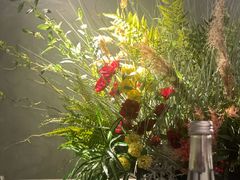 -LESCEDARS Brasserie Bistro香柏树
