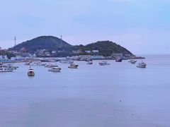 -洲晓鲜·舟山海鲜大排档(朱家尖风景区店)