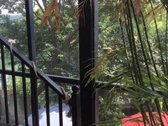 -威廉的太妃糖酒店(杭州西湖青芝坞店)