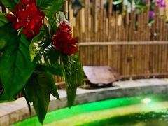 -泉城欧乐堡戏水湾艺术养生温泉