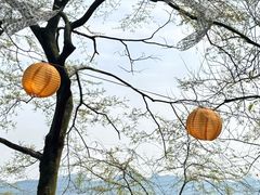 -伴山茶苑·围炉煮茶